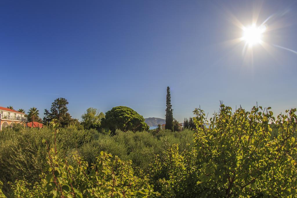 Olive Grove Apts Lithakia  Стая снимка